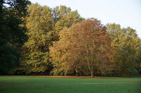 Bad Sassendorf